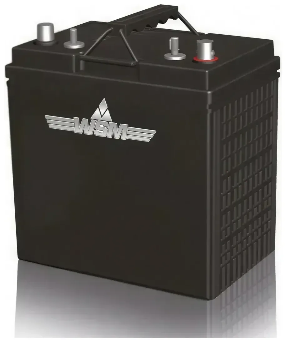 WSM Golfcart-AGM-Gel-Batterie (6V, 8V und 12V)