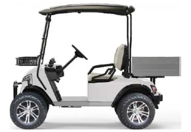 WSM JX2 Offroad — E-Fahrzeug — Ansicht 2