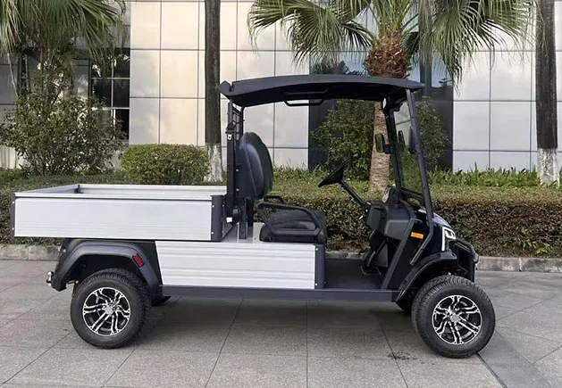 WSM JX2-150 Cargo — E-Fahrzeug — Ansicht 2