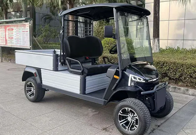 WSM JX2-150 Cargo — E-Fahrzeug — Ansicht 4