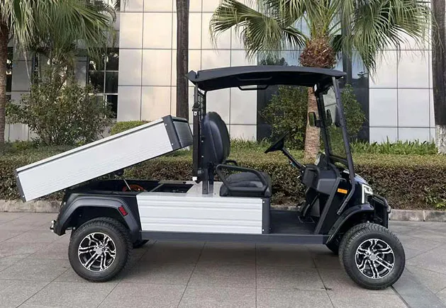 WSM JX2-150 Cargo — E-Fahrzeug — Ansicht 3