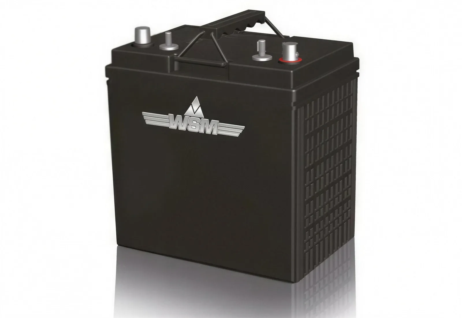WSM Golfcart-AGM-Gel-Batterie (6V, 8V und 12V) — Zubehör — Ansicht 2
