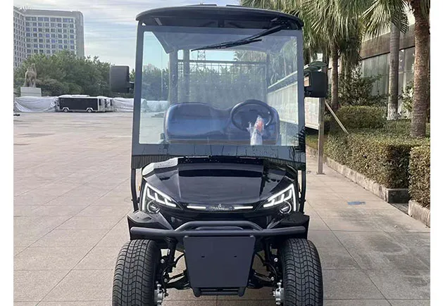 WSM JX2-150 Cargo — E-Fahrzeug — Ansicht 5