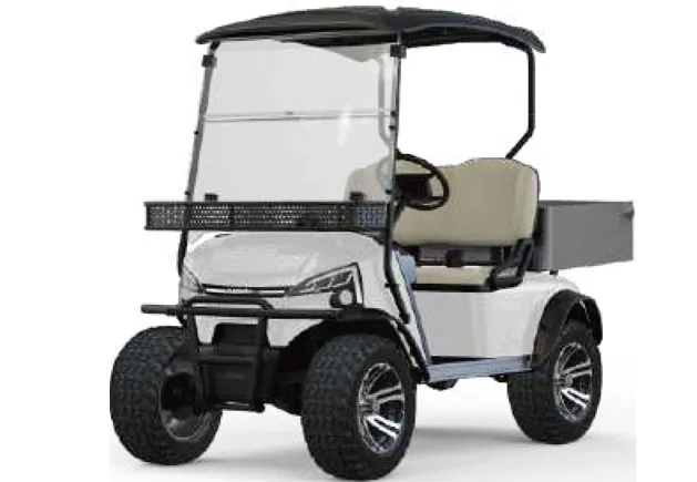WSM JX2 Offroad — E-Fahrzeug — Ansicht 4