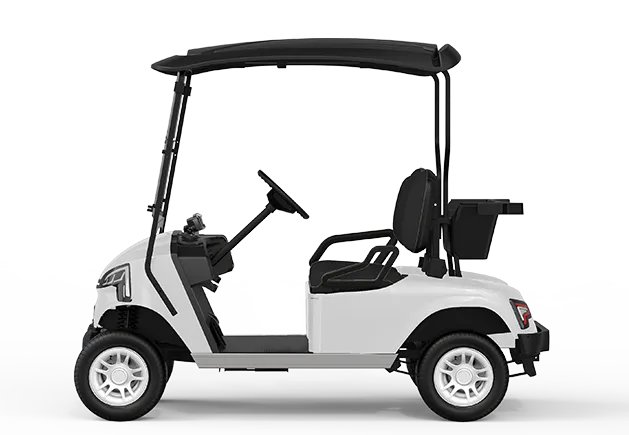 WSM JX2 105 — E-Fahrzeug — Ansicht 3